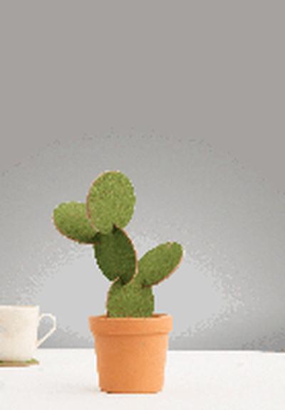 Click to get Cactus Coasters