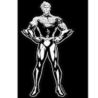 Click to get Aquaman Car Decal