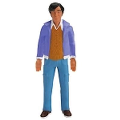 Click to get Big Bang Theory Raj 6 Bendable Figure