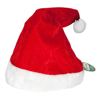 Click to get Singing and Dancing Santa Hat