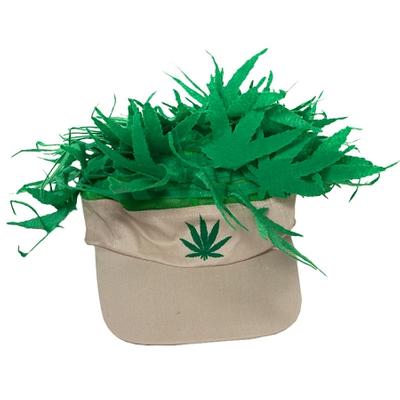 Click to get Pot Head Visor Hat