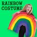 Rainbow Costume